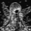Skared_freak