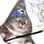 DecoyCat