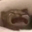 _Sswwaagg_