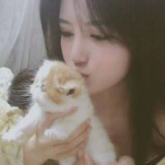 娇羞纯情公蟑螂