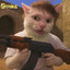 Gato Con Pelo