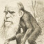 parasocial darwinist