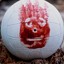 Wilson