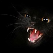 森林是白色的木