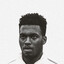 sturridge