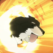 让我哈气就是你的不对