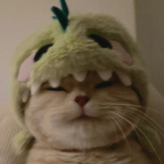 善良懒羊羊大王