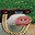 Fronk