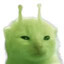 kiub