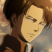 Levi