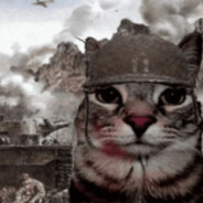 TIPPIWAN avatar