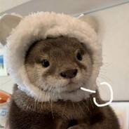 老太喝粥，无齿下流