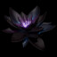 |_Black_Lotus_|