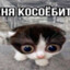 resand.online Котик