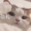 感谢我一拳打死你ma！
