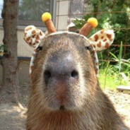 一位和蔼的大师