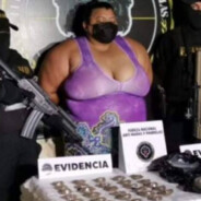 Brunoskii