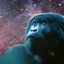 galactic_gorilla