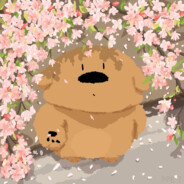 鹅鹅鹅曲项向天歌