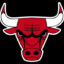 Mr. Chicago Bulls
