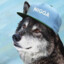 barebux