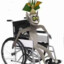 Paraplegic King Julien