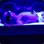 svg baby in a tanning bed