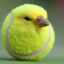 BIRD TENNIS BALL