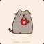 The Cat