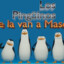 Los Pingüinos