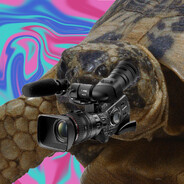 tortl Steam avatar