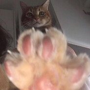 谁想舔我的大汗脚