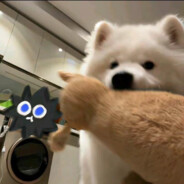 偏我来时不逢春