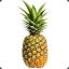 EvilPineapple