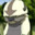 Appa the Opp Stoppa