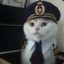 Captain Mittens