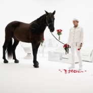 黑马王子uwaι4Rain