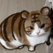 Little 1ce 1ce - steam id 76561199222508877