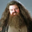 Rubeus Hagrid