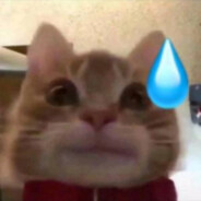 杨不灰唔系鸽手