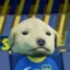 cachorrão