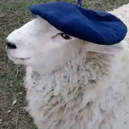 sobra apoyo falta talento