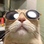 ЛЕОН