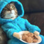 CookieCat