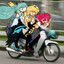 Dieco