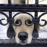 ПРИЧИНА ТРЯСКИ