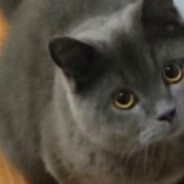 介于两石之间十分中正