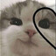 Glori&lt;3