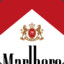 marlboro