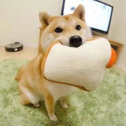 【*彩虹糖没有糖*】